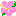 �n�C�r�X�J�X