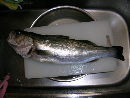 suduki2