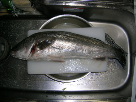 suduki