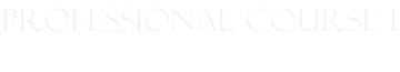 professional course 1