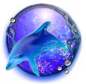 Dolphin Ring TOP摜